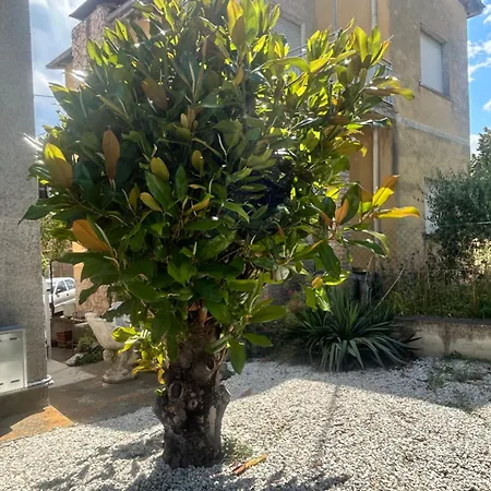Casa Giacinti Apartament *